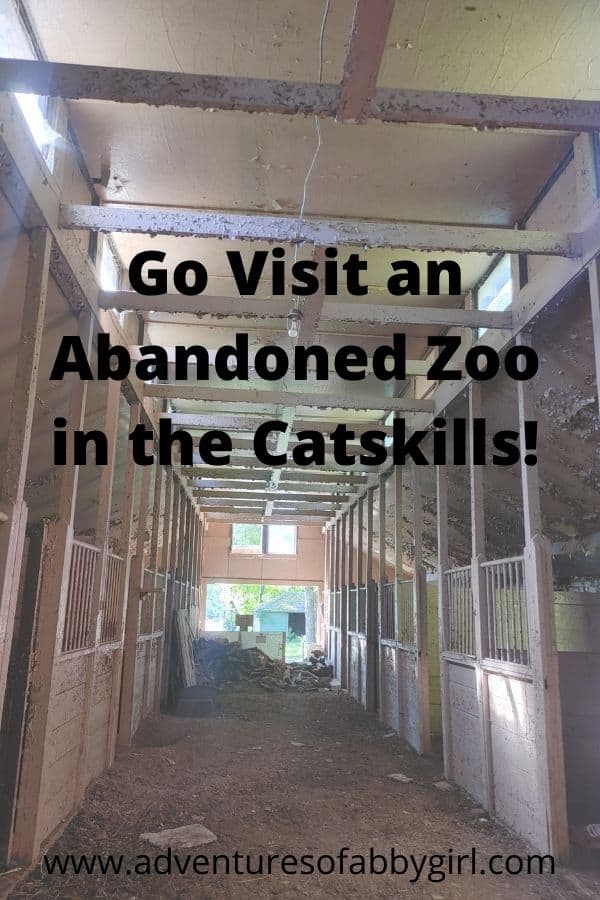 abandoned-zoo-catskill-game-farm