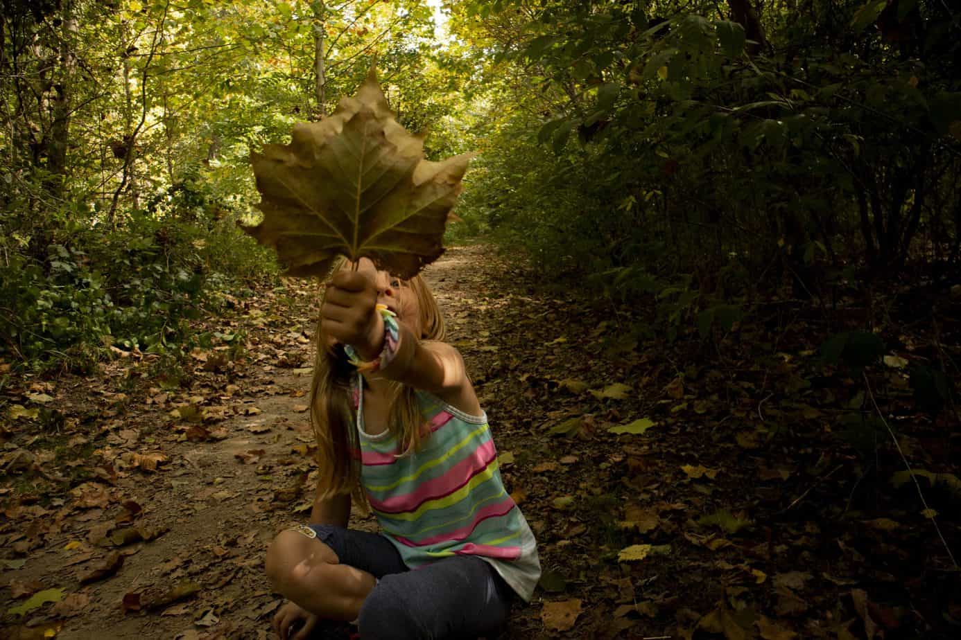 hiking-in-the-autumn