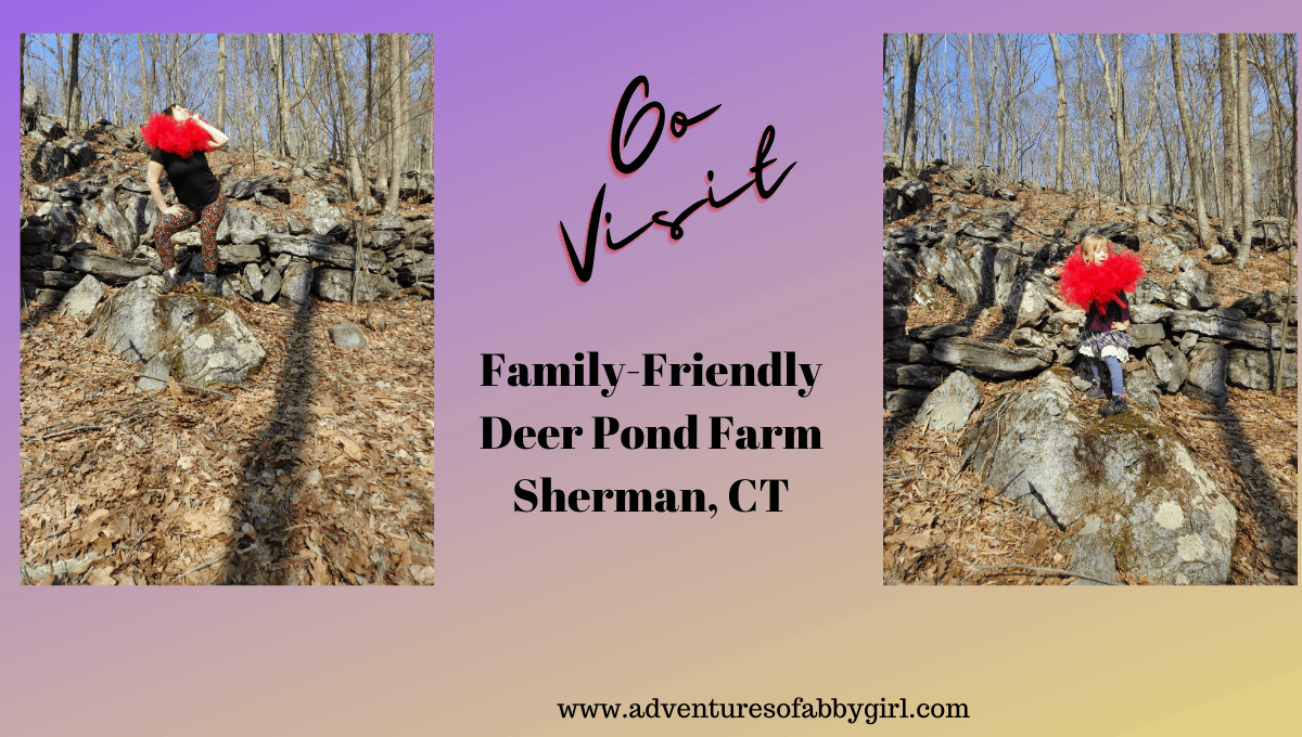 family-friendly-connecticut-deer-pond-farm