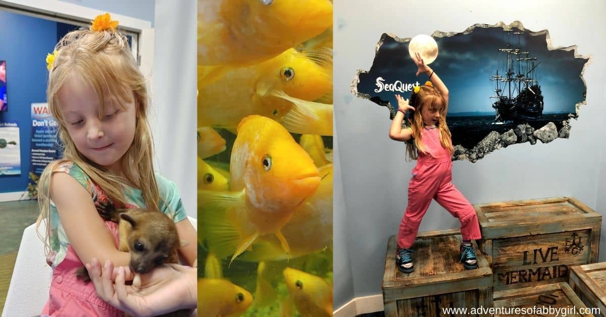 family-adventures-at-seaquest-trumbull-ct